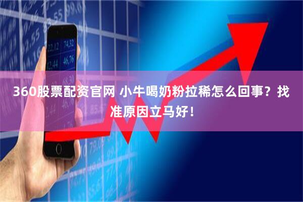 360股票配资官网 小牛喝奶粉拉稀怎么回事？找准原因立马好！