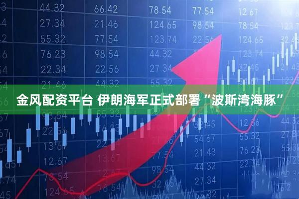 金风配资平台 伊朗海军正式部署“波斯湾海豚”